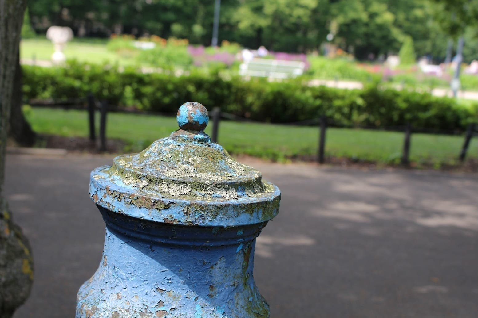 Blue fire hydrant